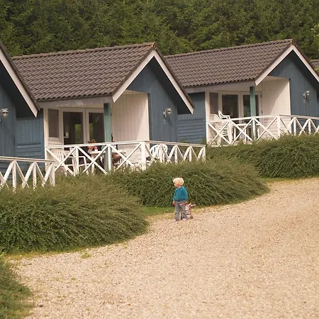 Campingplads Riis
